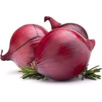 Onion (50)-9523886-95456.webp